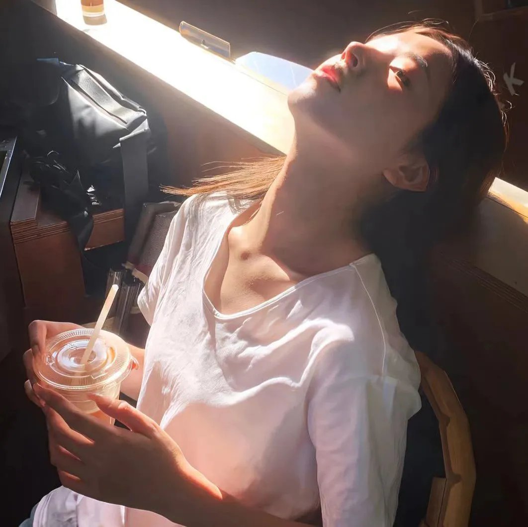 朕的朝堂都是奸臣